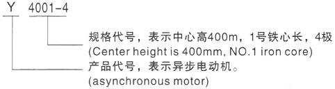 西安泰富西玛Y系列(H355-1000)高压YKS5005-2三相异步电机型号说明