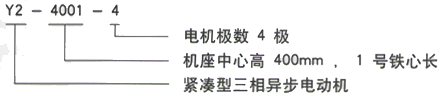 YR系列(H355-1000)高压YKS5005-2三相异步电机西安西玛电机型号说明